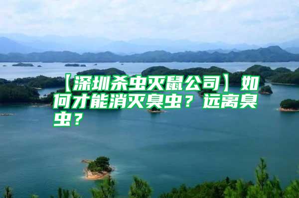 【深圳杀虫灭鼠公司】如何才能消灭臭虫？远离臭虫？