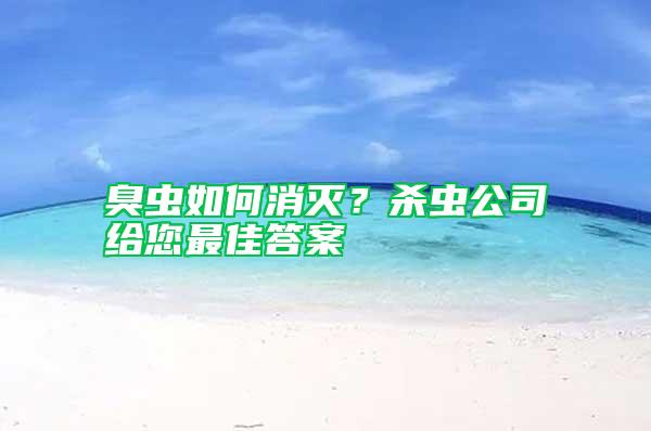 臭虫如何消灭？杀虫公司给您最佳答案