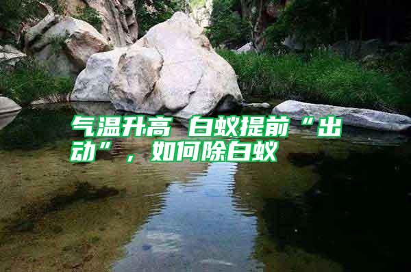 气温升高 白蚁提前“出动”，如何除白蚁