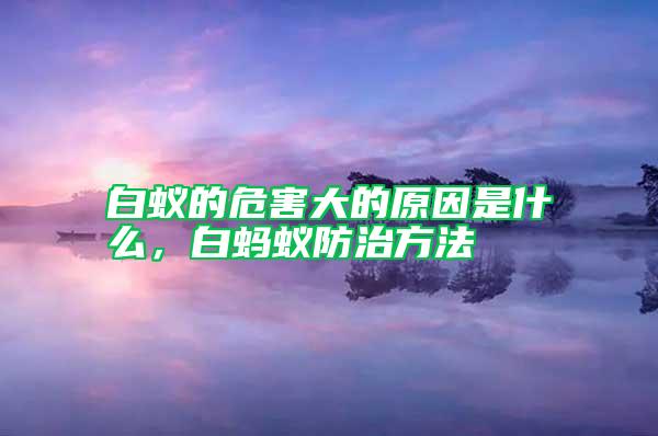 白蚁的危害大的原因是什么，白蚂蚁防治方法