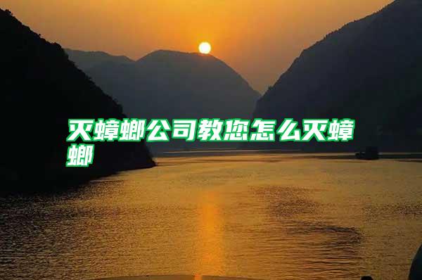 灭蟑螂公司教您怎么灭蟑螂