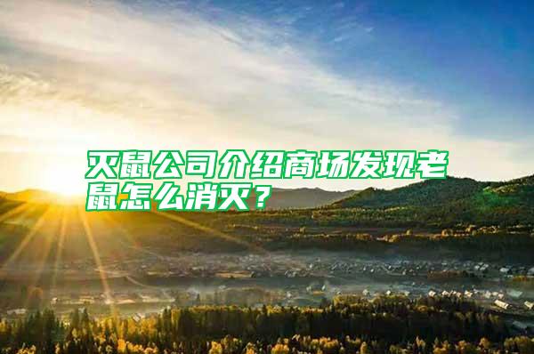 灭鼠公司介绍商场发现老鼠怎么消灭？