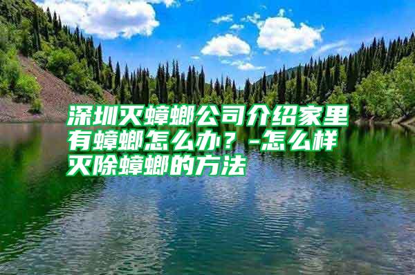 深圳灭蟑螂公司介绍家里有蟑螂怎么办？-怎么样灭除蟑螂的方法