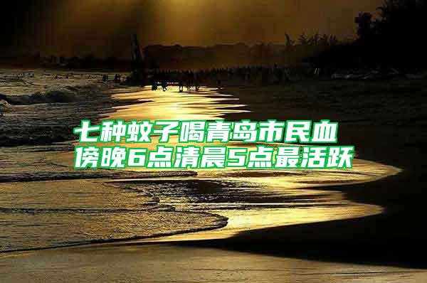 七种蚊子喝青岛市民血 傍晚6点清晨5点最活跃