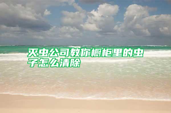 灭虫公司教你橱柜里的虫子怎么清除