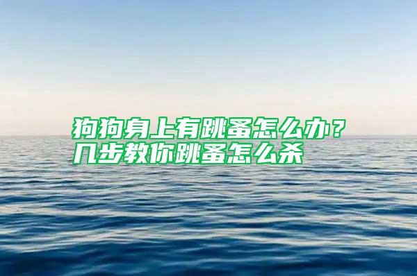 狗狗身上有跳蚤怎么办？几步教你跳蚤怎么杀