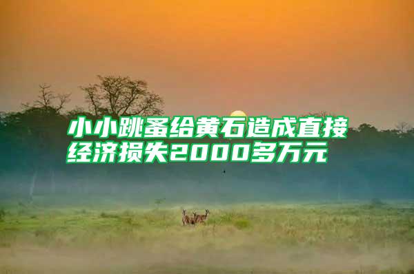 小小跳蚤给黄石造成直接经济损失2000多万元