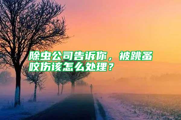 除虫公司告诉你，被跳蚤咬伤该怎么处理？