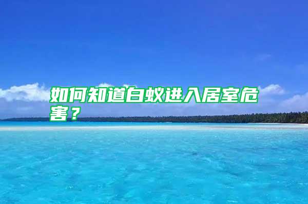 如何知道白蚁进入居室危害？