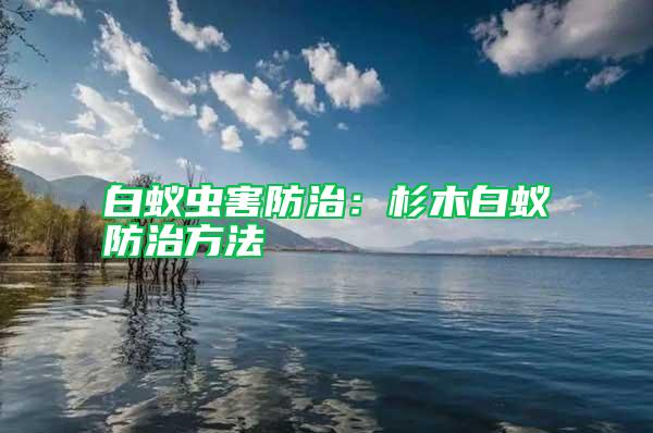 白蚁虫害防治：杉木白蚁防治方法