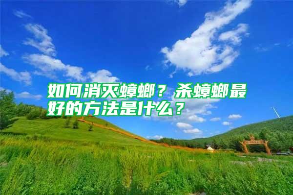 如何消灭蟑螂？杀蟑螂最好的方法是什么？