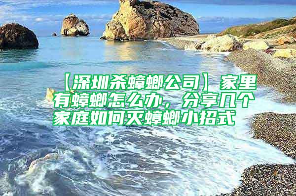 【深圳杀蟑螂公司】家里有蟑螂怎么办，分享几个家庭如何灭蟑螂小招式