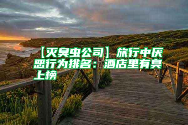 【灭臭虫公司】旅行中厌恶行为排名：酒店里有臭上榜