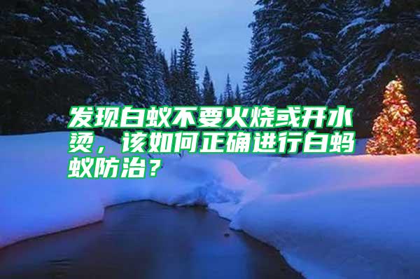 发现白蚁不要火烧或开水烫，该如何正确进行白蚂蚁防治？