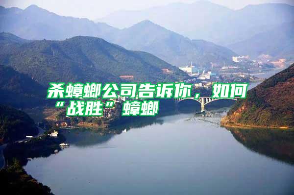 杀蟑螂公司告诉你，如何“战胜”蟑螂