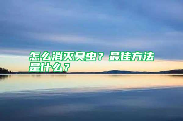 怎么消灭臭虫？最佳方法是什么？