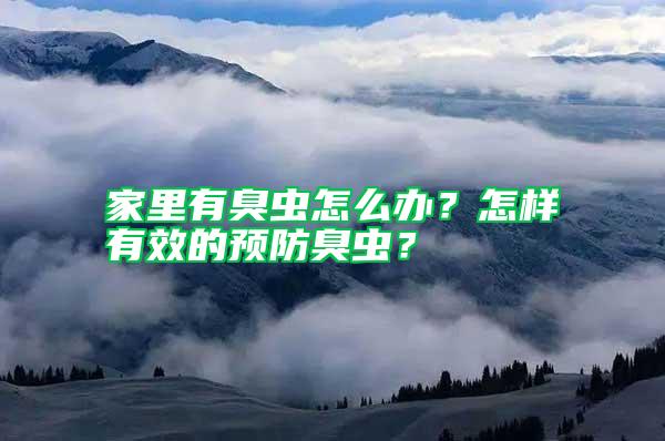 家里有臭虫怎么办？怎样有效的预防臭虫？