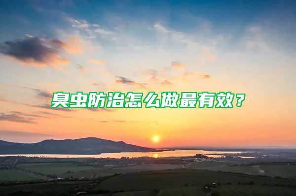臭虫防治怎么做最有效？