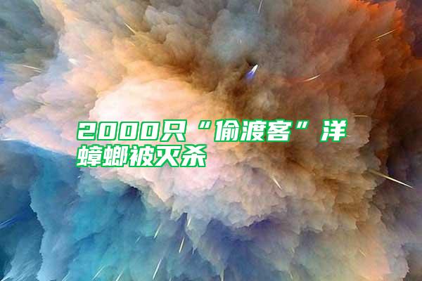 2000只“偷渡客”洋蟑螂被灭杀