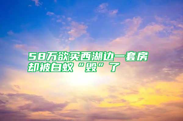 58万欲买西湖边一套房 却被白蚁“毁”了