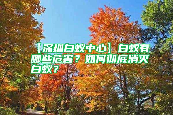 【深圳白蚁中心】白蚁有哪些危害？如何彻底消灭白蚁？