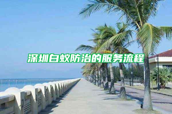 深圳白蚁防治的服务流程