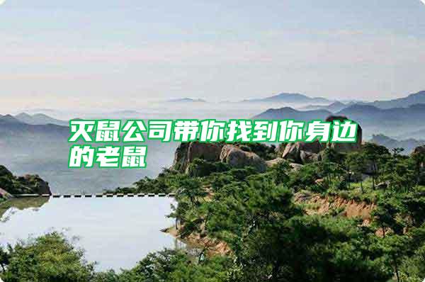 灭鼠公司带你找到你身边的老鼠