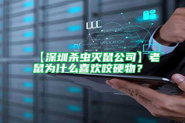 【深圳杀虫灭鼠公司】老鼠为什么喜欢咬硬物？