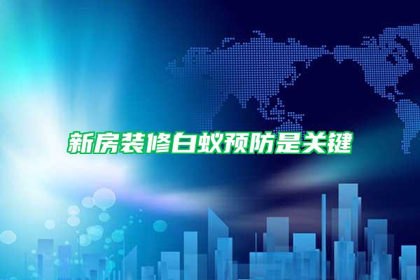 新房装修白蚁预防是关键