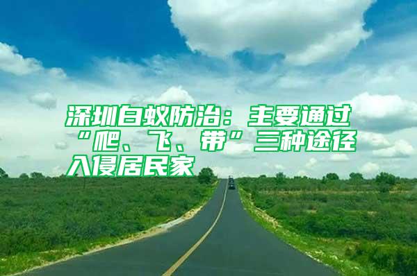 深圳白蚁防治：主要通过“爬、飞、带”三种途径入侵居民家