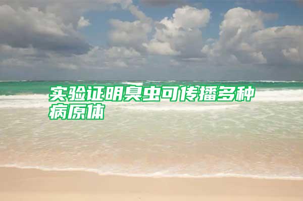 实验证明臭虫可传播多种病原体