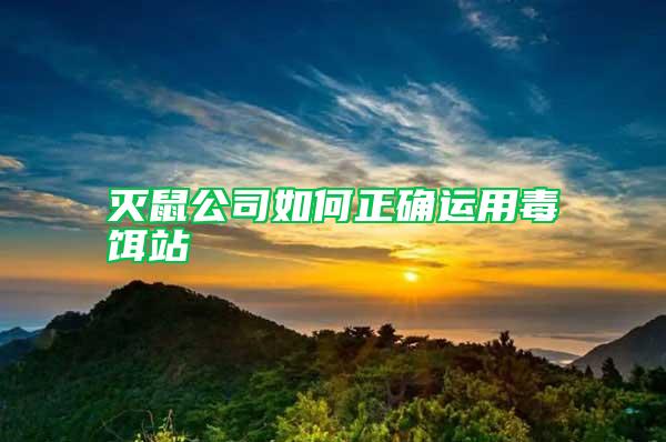 灭鼠公司如何正确运用毒饵站