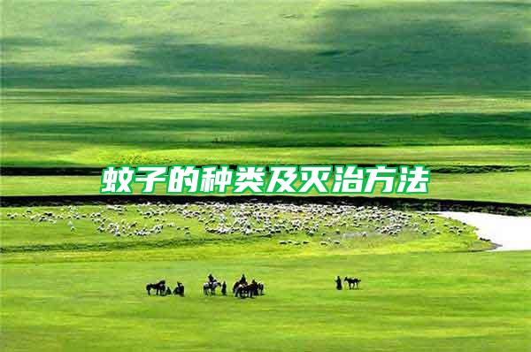蚊子的种类及灭治方法