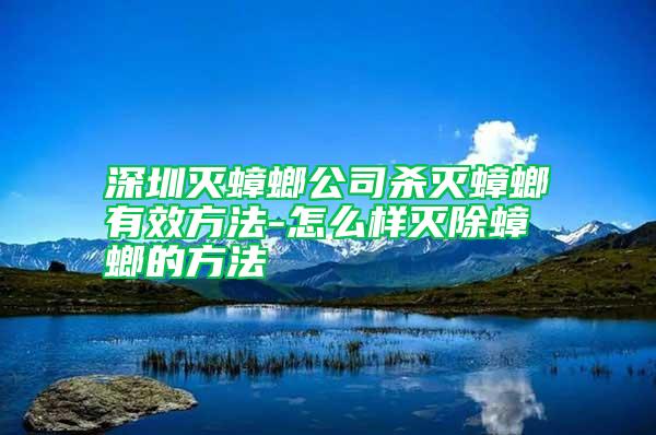 深圳灭蟑螂公司杀灭蟑螂有效方法-怎么样灭除蟑螂的方法