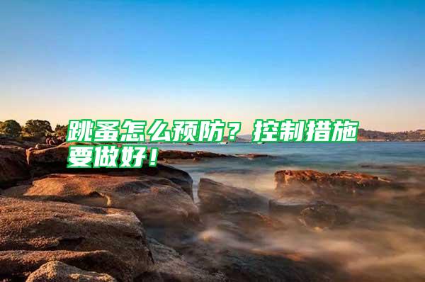 跳蚤怎么预防？控制措施要做好！