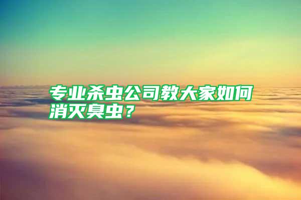 专业杀虫公司教大家如何消灭臭虫？