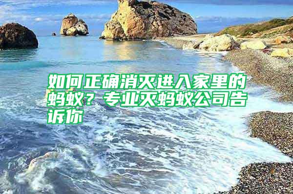 如何正确消灭进入家里的蚂蚁？专业灭蚂蚁公司告诉你