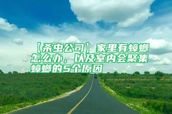 【杀虫公司】家里有蟑螂怎么办，以及室内会聚集蟑螂的5个原因