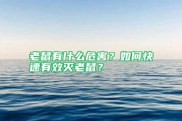 老鼠有什么危害？如何快速有效灭老鼠？