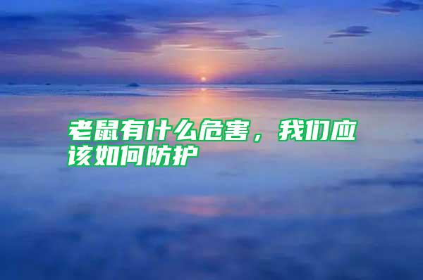 老鼠有什么危害，我们应该如何防护