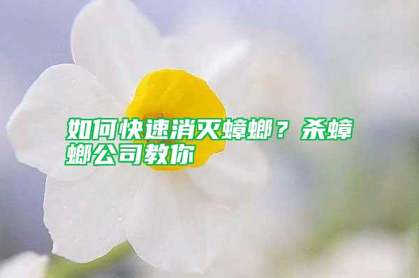 如何快速消灭蟑螂？杀蟑螂公司教你