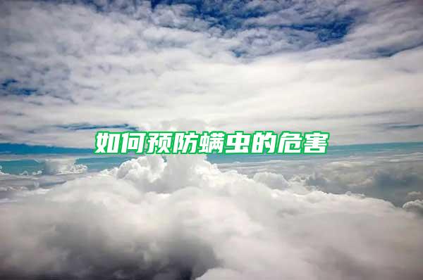 如何预防螨虫的危害