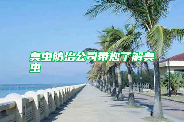 臭虫防治公司带您了解臭虫