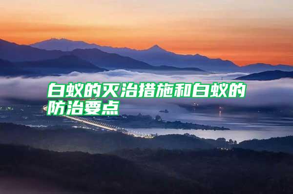 白蚁的灭治措施和白蚁的防治要点