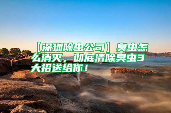 【深圳除虫公司】臭虫怎么消灭，彻底清除臭虫3大招送给你！