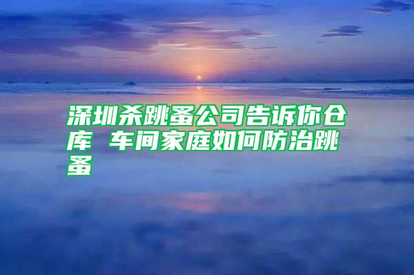 深圳杀跳蚤公司告诉你仓库 车间家庭如何防治跳蚤