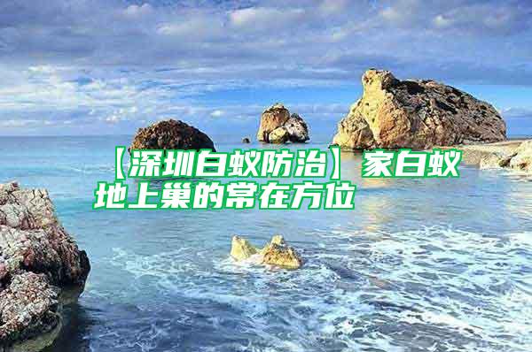 【深圳白蚁防治】家白蚁地上巢的常在方位