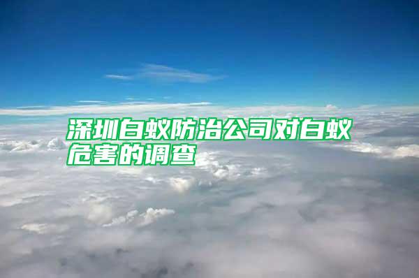 深圳白蚁防治公司对白蚁危害的调查