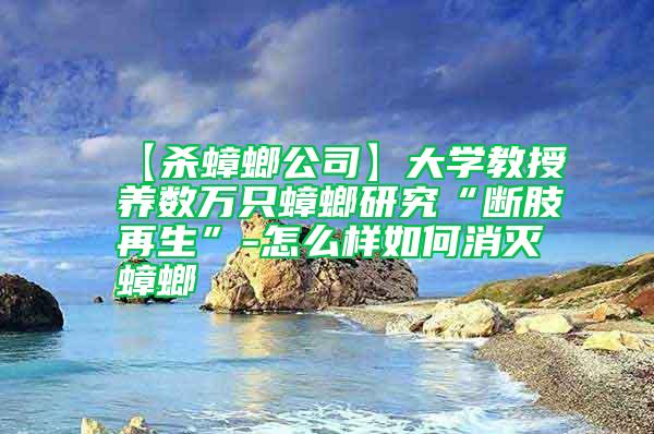 【杀蟑螂公司】大学教授养数万只蟑螂研究“断肢再生”-怎么样如何消灭蟑螂