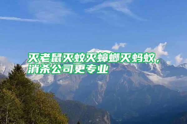 灭老鼠灭蚊灭蟑螂灭蚂蚁，消杀公司更专业